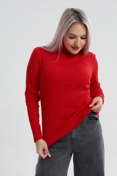 Водолазка ВЖ0059