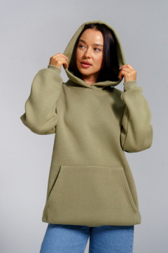 Толстовка Перфект