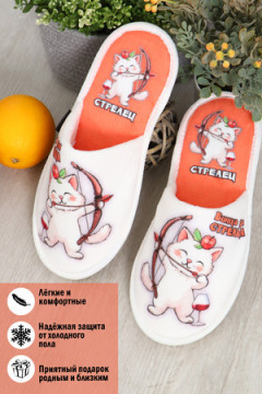 Тапки Кото-гороскоп Стрелец