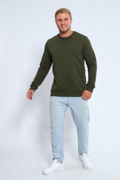 Толстовка 11291