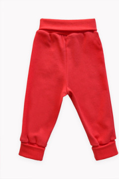 Штанишки 20758