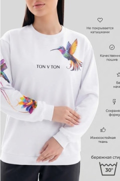 Толстовка Аниме-Колибри