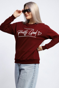 Толстовка 80048