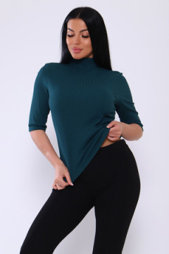 Водолазка 24674