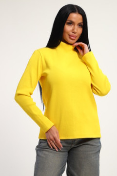 Водолазка 74721