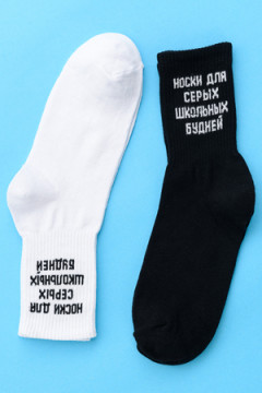 Носки стандарт Школьные будни (набор 2 пары)