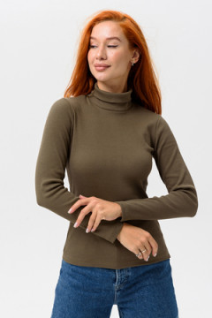 Водолазка 14439/1