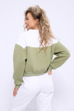 Толстовка 21011