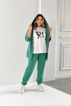 Костюм с брюками 52337