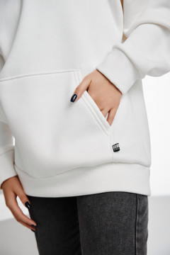 Толстовка 67090