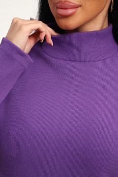 Водолазка 74721