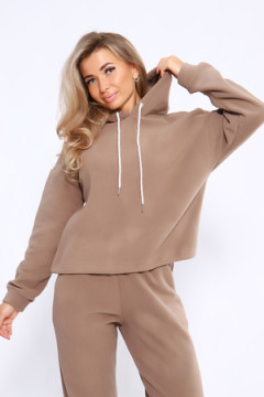 Толстовка 36860