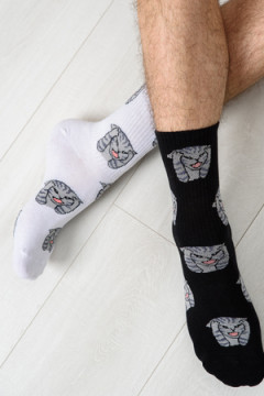 Носки стандарт Драматик кот (набор 2 пары)