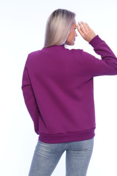 Толстовка ТЖ005-30ф