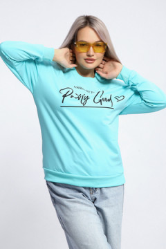 Толстовка 80048