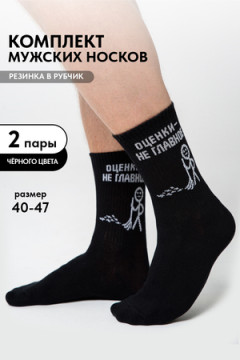 Носки стандарт Оценки не главное (набор 2 пары)