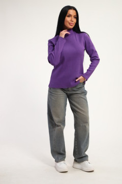 Водолазка 74721