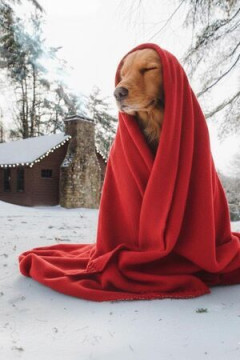 Плед Флисовый красный 100% полиэстер, плотность 130 г/м2