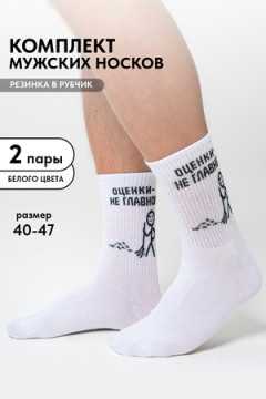 Носки стандарт Оценки не главное (набор 2 пары)