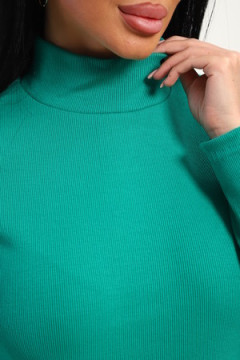 Водолазка 74721