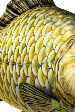 Игрушка-антистресс Рыба мечты. Карась