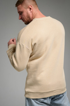 Свитшот 14421