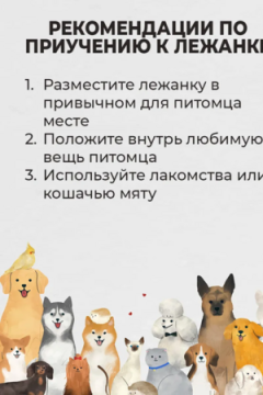 Лежанка для кошек и собак 50×60 с бортиками LDZB, бязь, 100% хлопок, износостойкая, Bio-Line