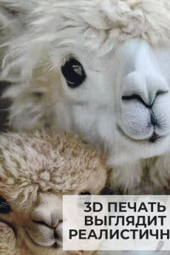 Наволочка декоративная Альпака 4