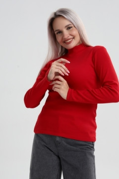 Водолазка ВЖ0059