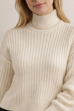 Джемпер 1895-1