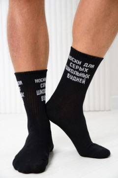 Носки мужские Школьные будни (набор 3 пары)