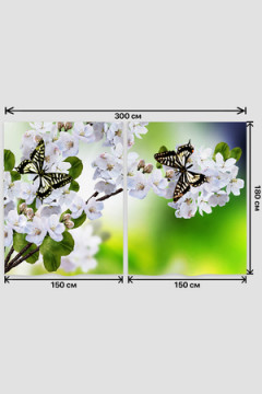 Фотошторы 10854