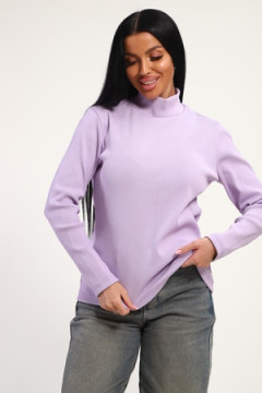 Водолазка 74721