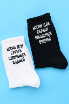 Носки стандарт Школьные будни (набор 2 пары)