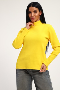 Водолазка 74721