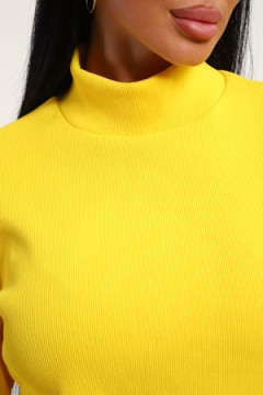 Водолазка 74721