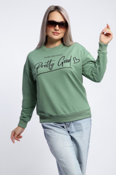 Толстовка 80048