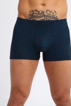 Трусы мужские 28612