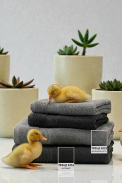 Набор махровых полотенец Vantaa 480 гр 100% хлопок Tilkku Takki, TT-06/4-V-с.сер/т.сер