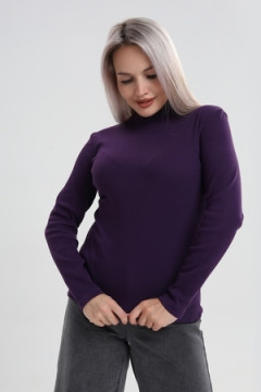 Водолазка ВЖ0059