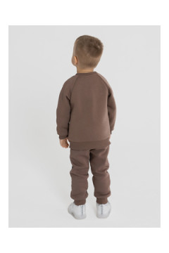 Толстовка футер начёс Енот 10903