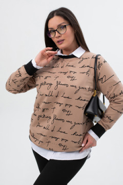 Свитшот СЖ014