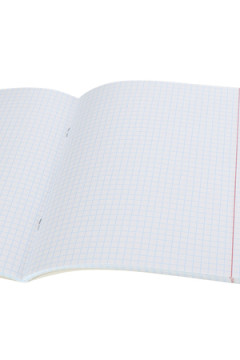 Тетрадь КЛЕТКА 48л. НЕМЕЦКИЙ ЯЗЫК «МАНГА» (Т48-1494) стандарт, твин-лак