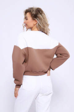 Толстовка 21011