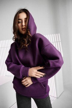 Толстовка 67090