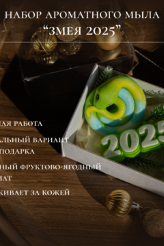 89613 Набор Змея 2025