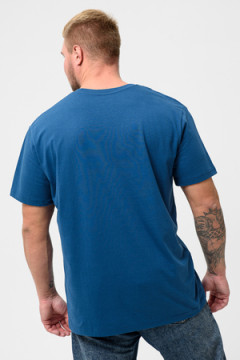 Футболка мужская 8503/1