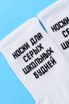 Носки стандарт Школьные будни (набор 2 пары)