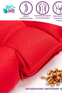 Подушка для мебели Bio-Line с гречневой лузгой PSG25