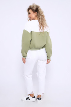 Толстовка 21011